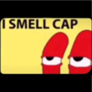 Meet your Posher, Vinny